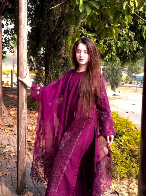 Royal Plum: Luxurious Chikankari Ensemble with Contemporary Flair