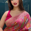 Exquisite Multicolor Silk Saree – A Timeless Elegance