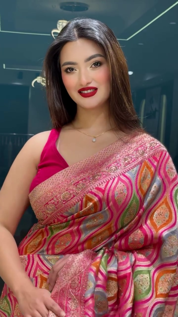 Exquisite Multicolor Silk Saree – A Timeless Elegance