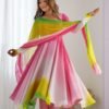 Stunning Multi-Color Fox Georgette Anarkali Suit
