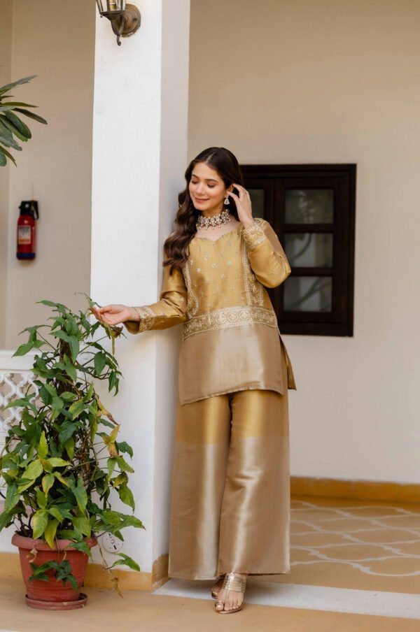 Banarasi Viscose Co-Ord Set – Elegant Ethnic Fusion