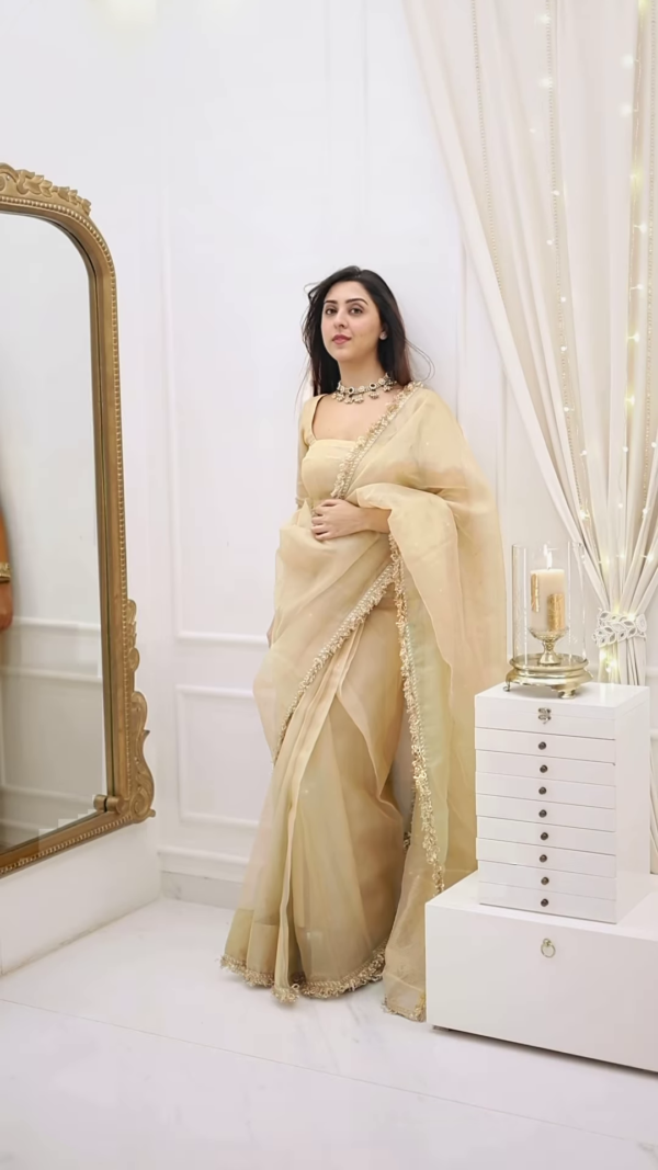Classic Fawn Stone Embellished Saree – A Perfect Blend of Grace and Glamour