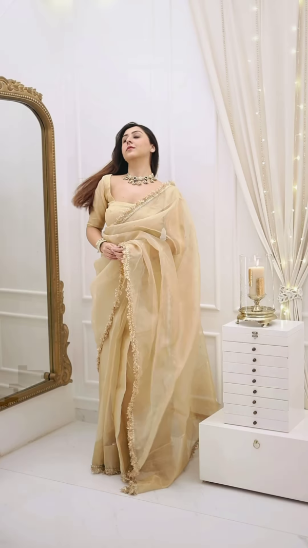 Classic Fawn Stone Embellished Saree – A Perfect Blend of Grace and Glamour