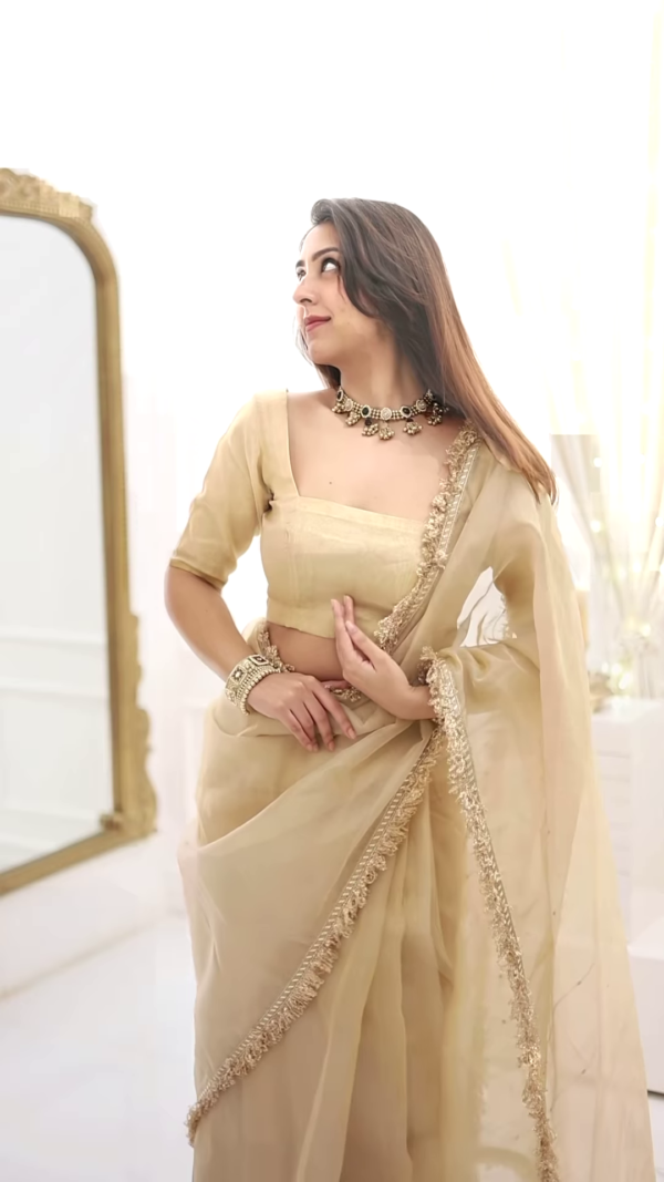 Classic Fawn Stone Embellished Saree – A Perfect Blend of Grace and Glamour