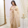 Classic Fawn Stone Embellished Saree – A Perfect Blend of Grace and Glamour