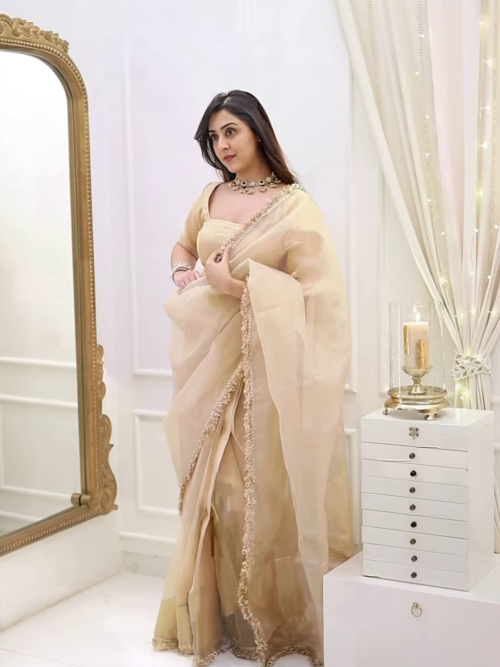 Classic Fawn Stone Embellished Saree – A Perfect Blend of Grace and Glamour