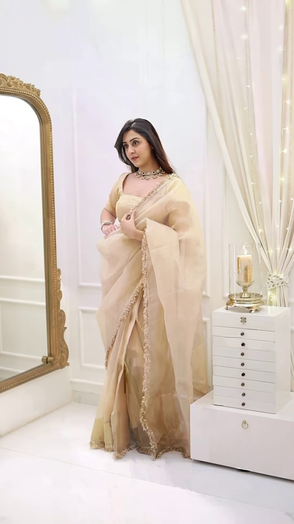 Classic Fawn Stone Embellished Saree – A Perfect Blend of Grace and Glamour